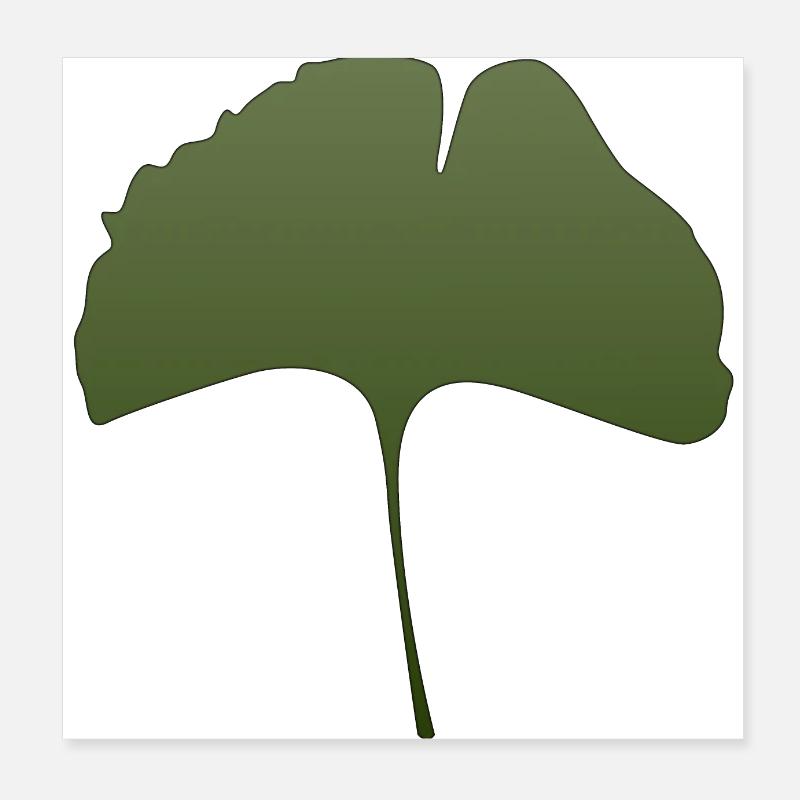 ginkgo Poster 8" x 8" (20x20 cm)