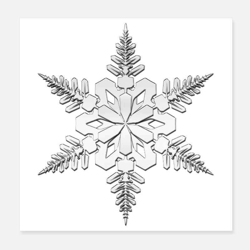 Snowflake, snowflake Silver white in 3D Poster 8" x 8" (20x20 cm)