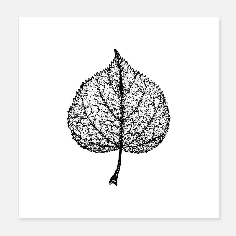 Lindenblatt Poster 20x20 cm