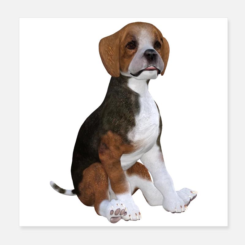 Beagle Welpe Poster 20x20 cm