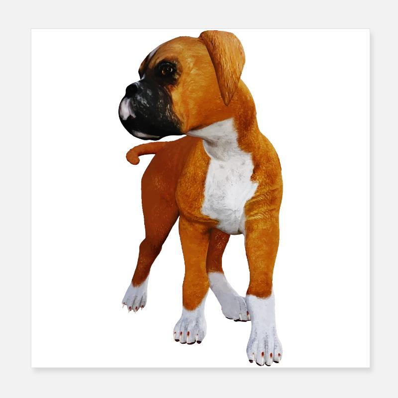 Dog boxer puppy Poster 8" x 8" (20x20 cm)