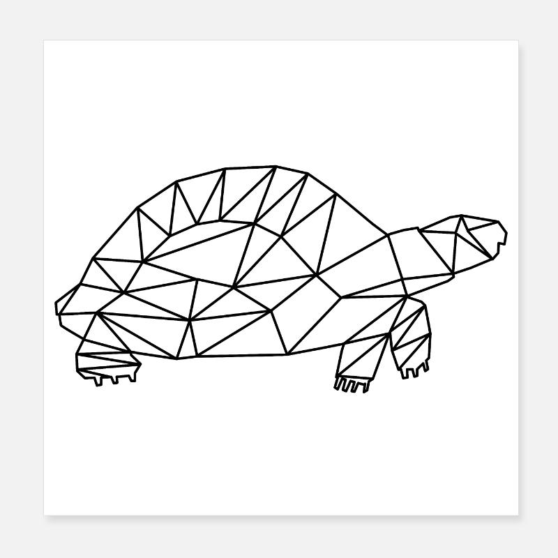 turtle Poster 8" x 8" (20x20 cm)