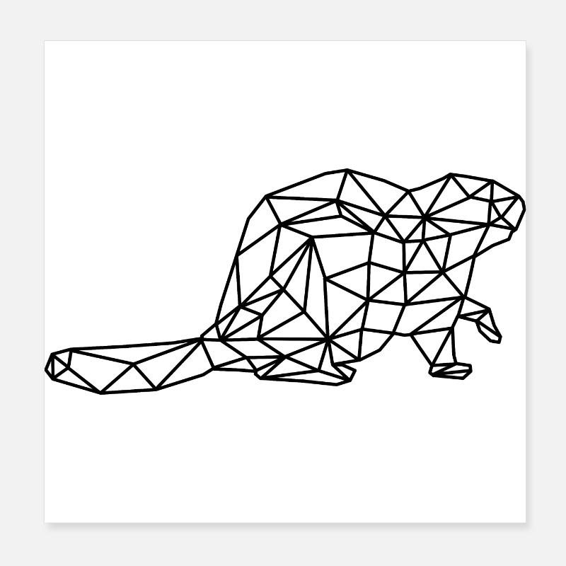 castor Poster 20 x 20 cm