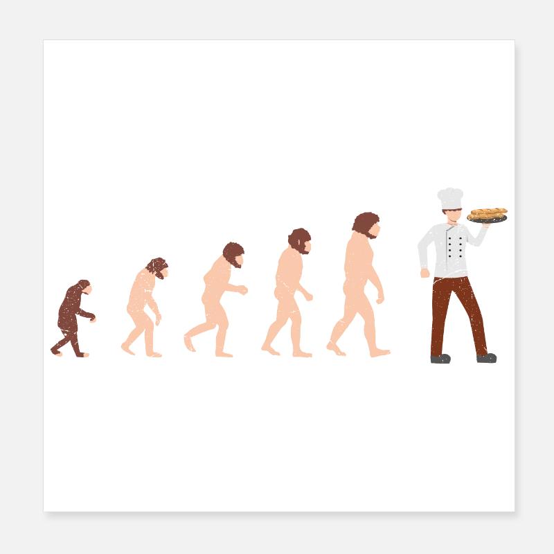 Evolution Chef Koch Lustige Geschenkidee Poster 20x20 cm