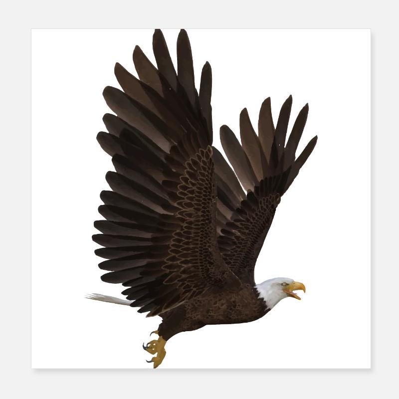 Adler Poster 20x20 cm