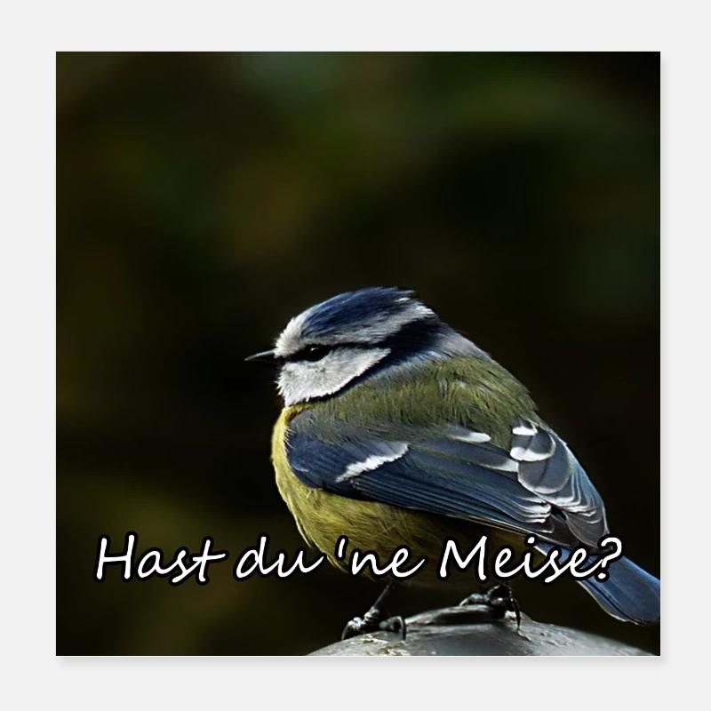 Titmouse Bird Animals Drôle de dicton Poster 20 x 20 cm