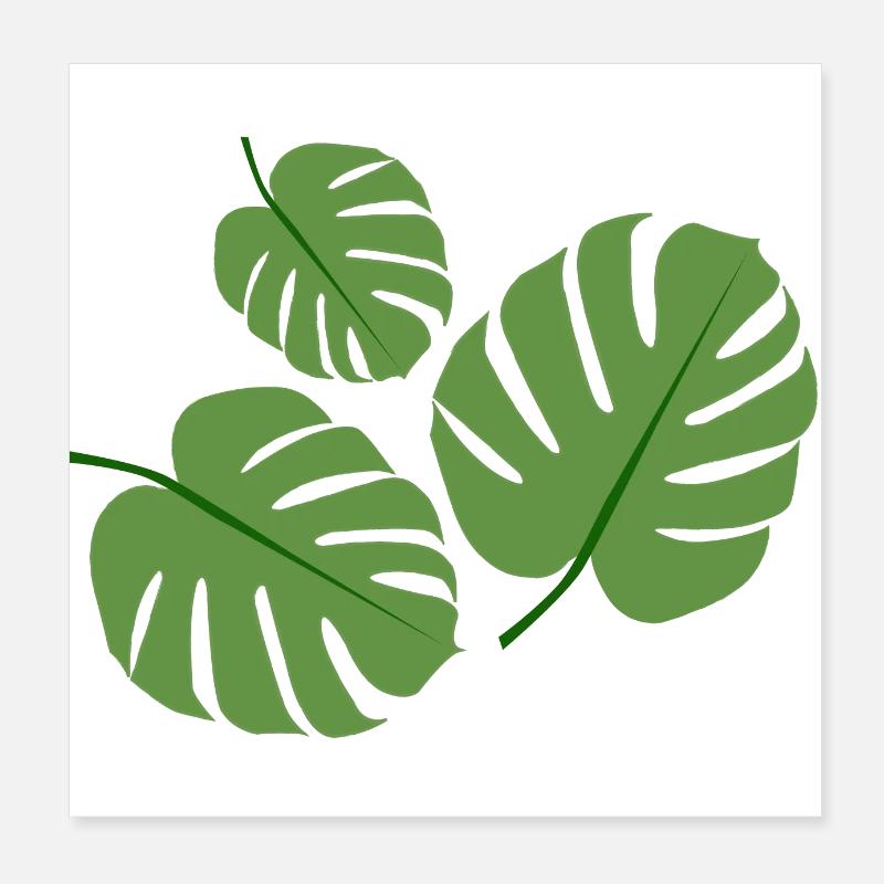 Monstera Pflanze Poster 20x20 cm
