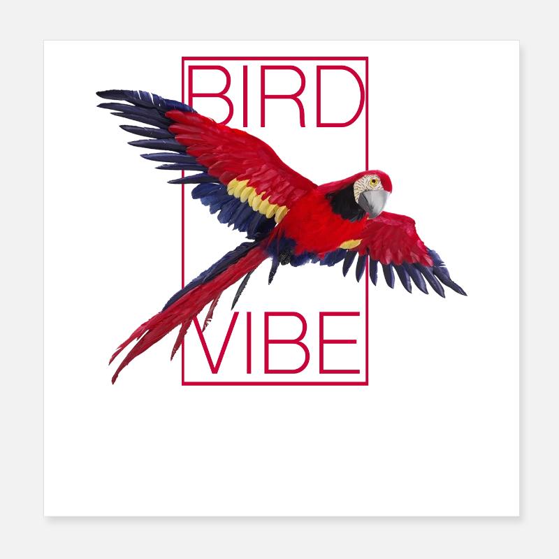 Red Parrot - BIRD VIBE Poster 8" x 8" (20x20 cm)