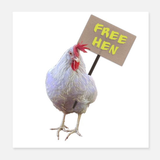 pris Antagelse Information Fri høne, fri høns, fri høne' Poster | Spreadshirt