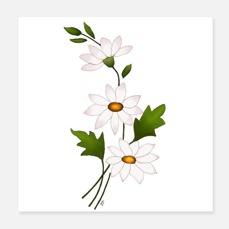 Daisy Flowers Poster 8" x 8" (20x20 cm)