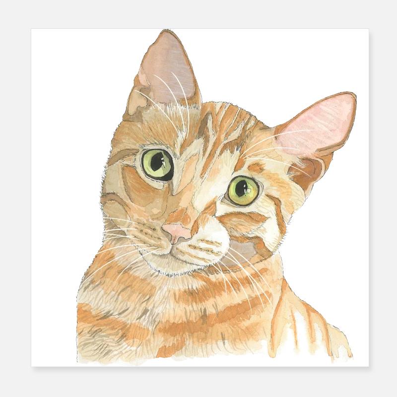 Chat rouge Poster 20 x 20 cm