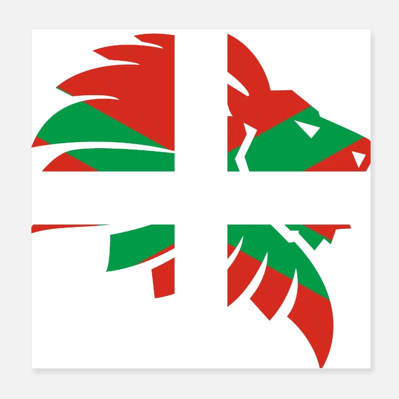 Basque flag Navarre Basque Basque gift Poster 8" x 8" (20x20 cm)