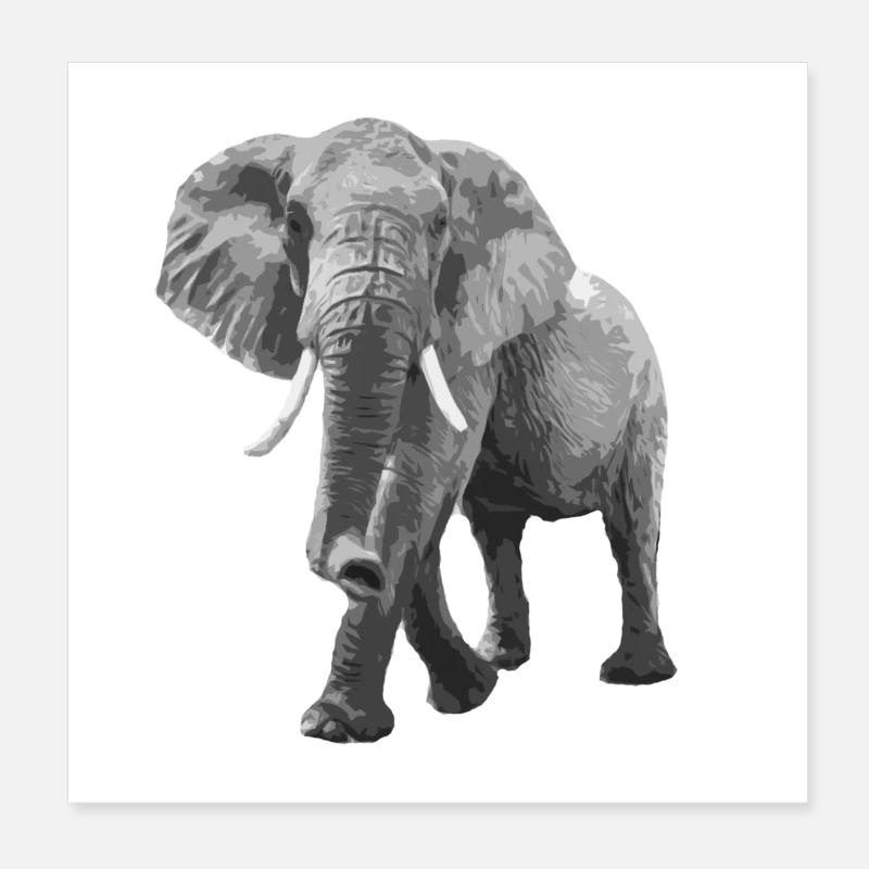 Grand comme un éléphant Poster 20 x 20 cm