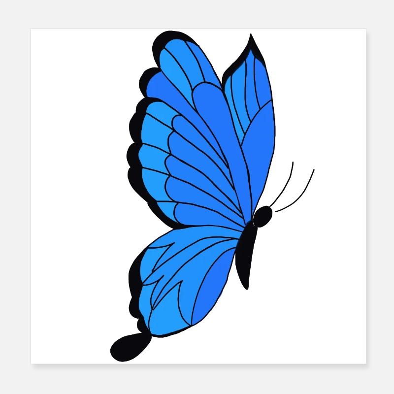 Schmetterling Poster 20x20 cm