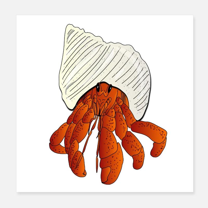 Le Bernard l'ermite l'hermite Poster 20 x 20 cm