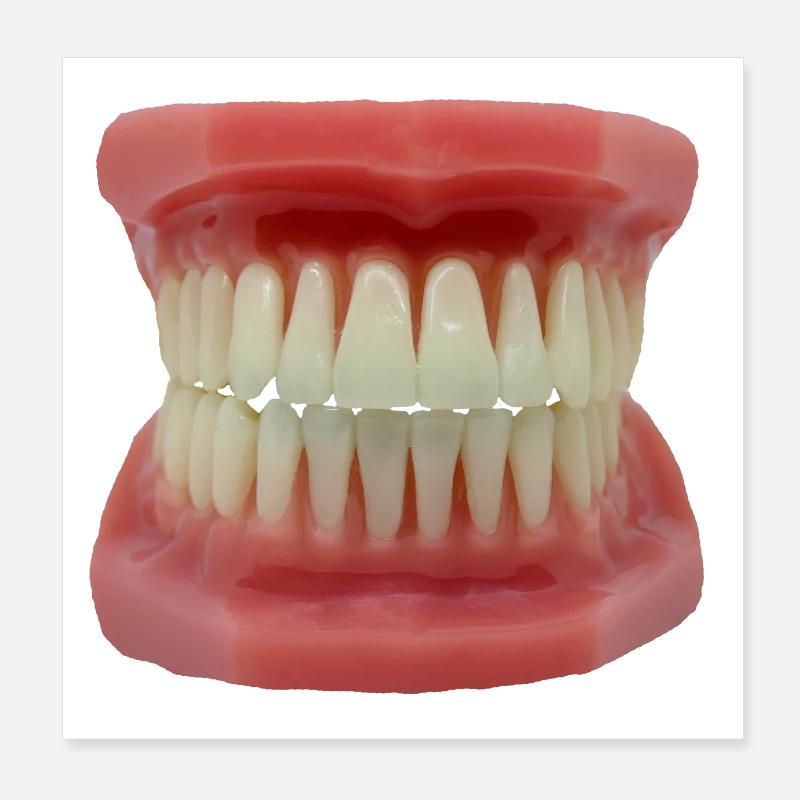 Teeth Poster 8" x 8" (20x20 cm)