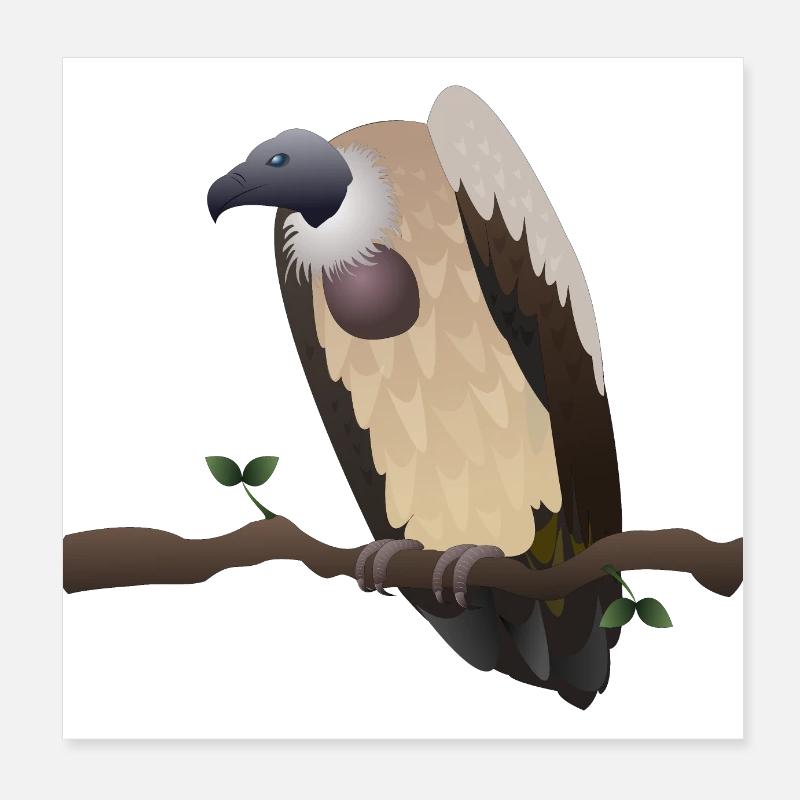 Vautours Poster 20 x 20 cm