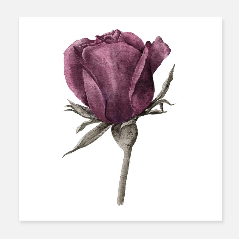 Rose Fleur Poster 20 x 20 cm