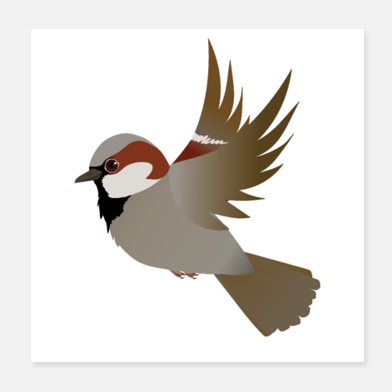 Flying house sparrow' Poster | Spreadshirt