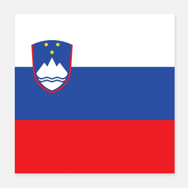 Drapeau slovène, cadeau slovène de fierté slovène Poster 20 x 20 cm