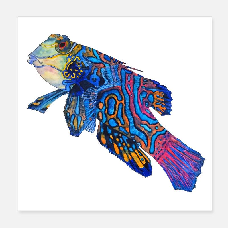Poisson mandarin Poster 20 x 20 cm