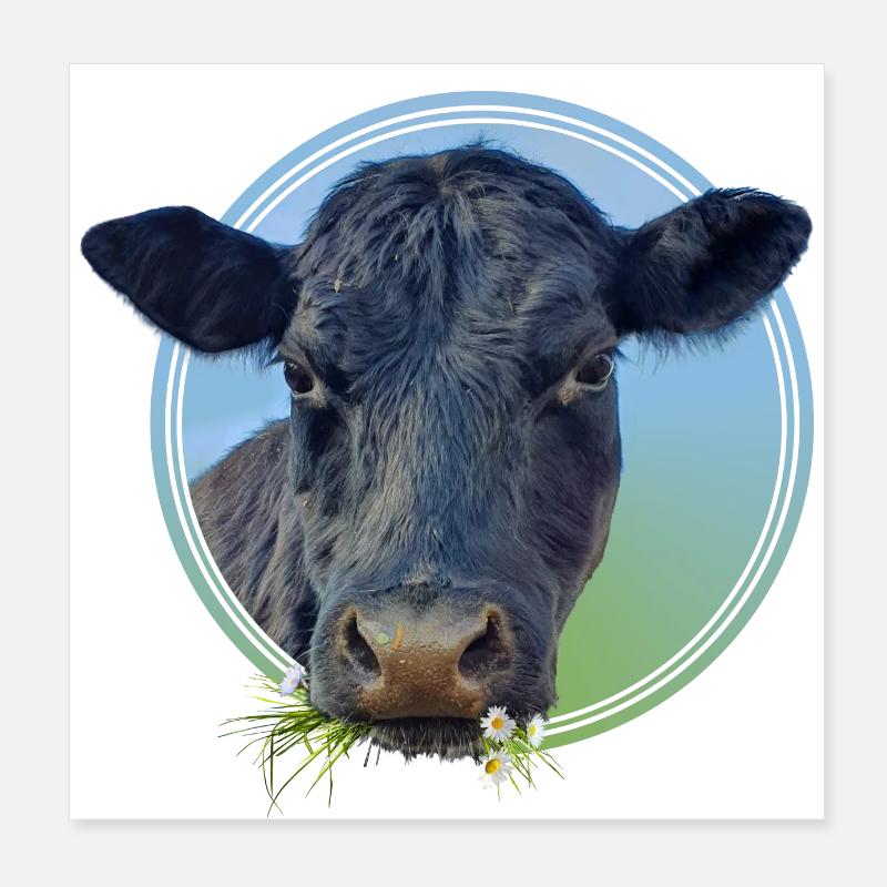 Cow Poster 8" x 8" (20x20 cm)