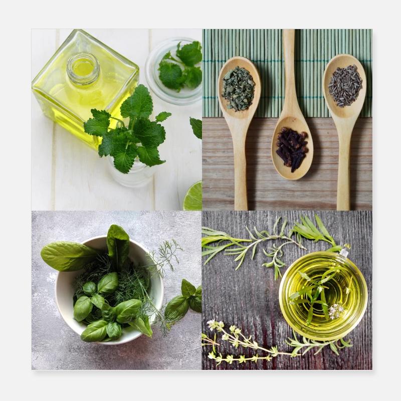 Herb Poster, Collage, Kitchen Poster 8" x 8" (20x20 cm)