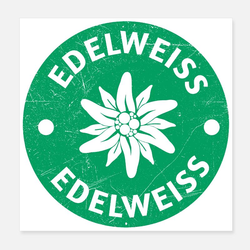 Edelweiss Edelweiss Alpes Fleur Souvenir Cadeau Poster 20 x 20 cm