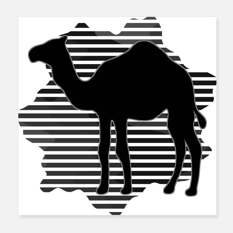 Kamel Poster 20x20 cm
