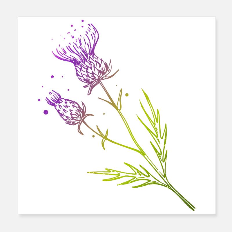 Ecosse Fleur de Chardon Tatouage Design Idée Cadeau Poster 20 x 20 cm