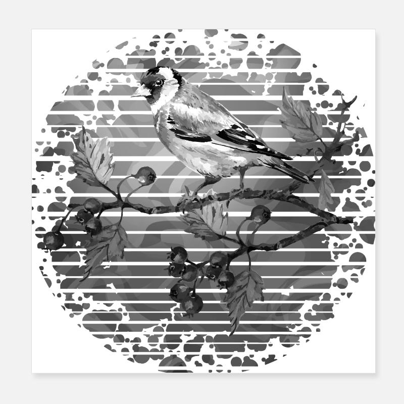 Oiseau Poster 20 x 20 cm