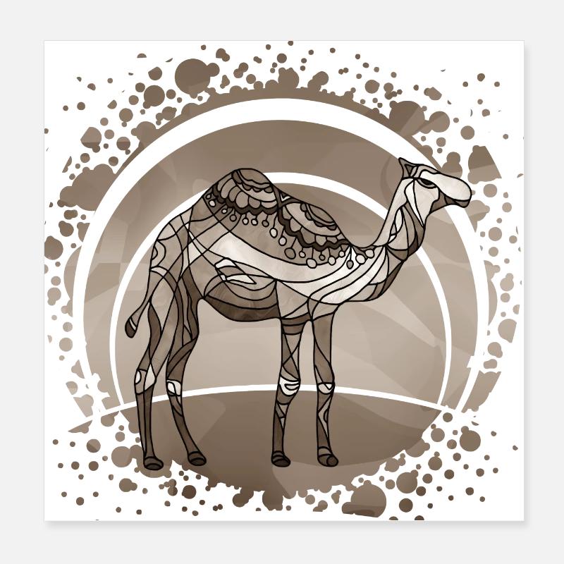 Kamel Poster 20x20 cm
