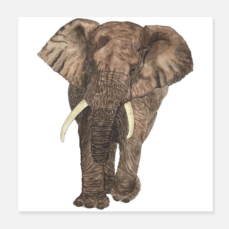 Éléphant Poster 20 x 20 cm
