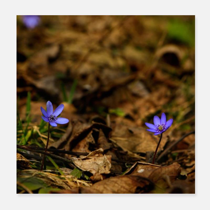 Spring flowers Poster 8" x 8" (20x20 cm)