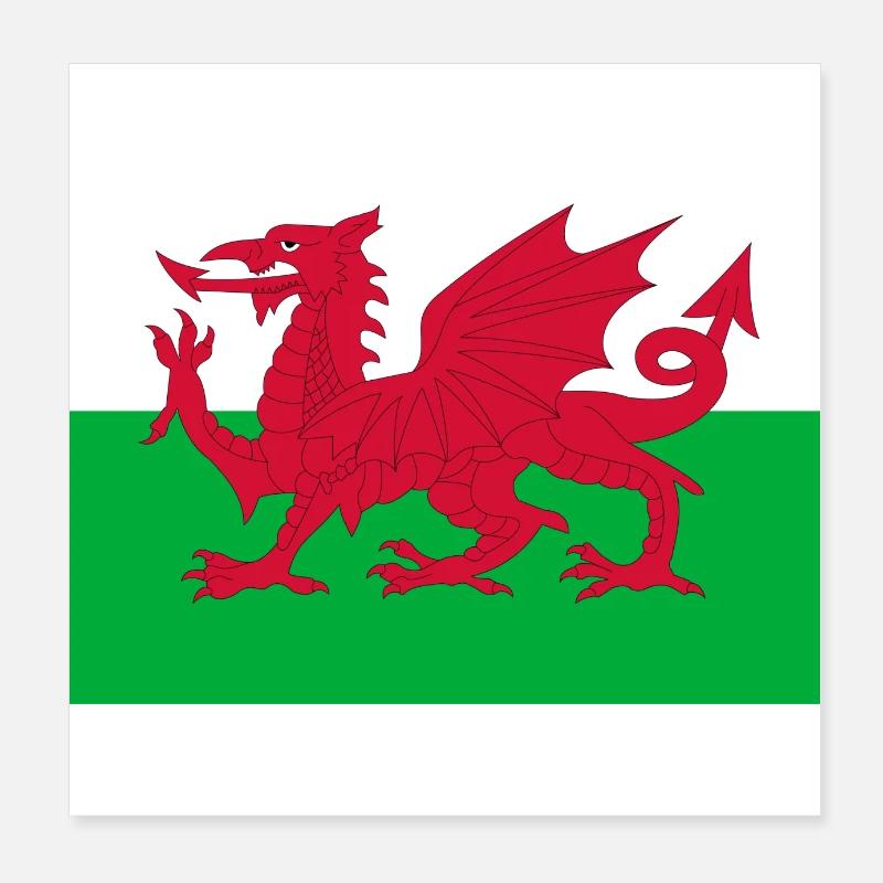 Drapeau du Pays de Galles Poster 20 x 20 cm