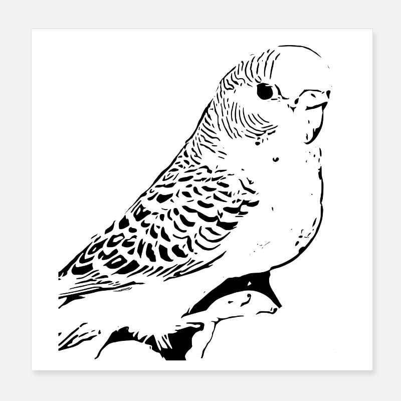 Budgerigar Poster 8" x 8" (20x20 cm)