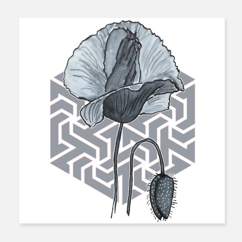 schwarzweiße Mohnblume mit Sechseck im Hintergrund Poster 20x20 cm