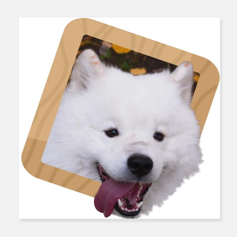 Samoyed puppy in a frame Poster 8" x 8" (20x20 cm)