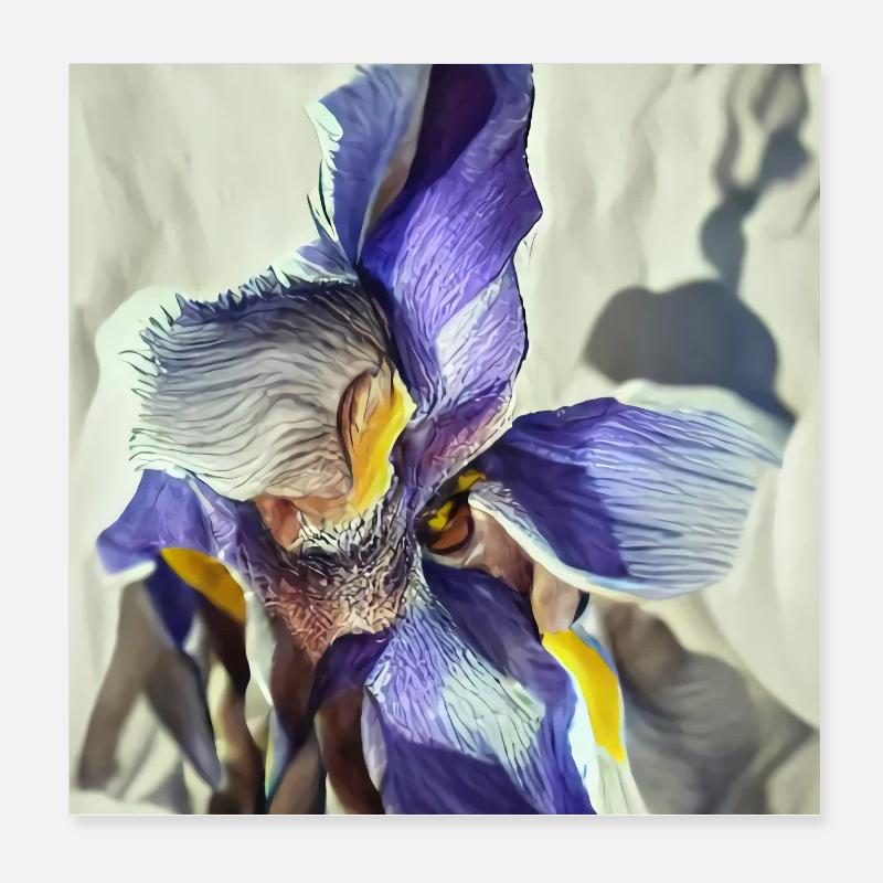 Fleur d’iris pourpre en pleine floraison Poster 20 x 20 cm