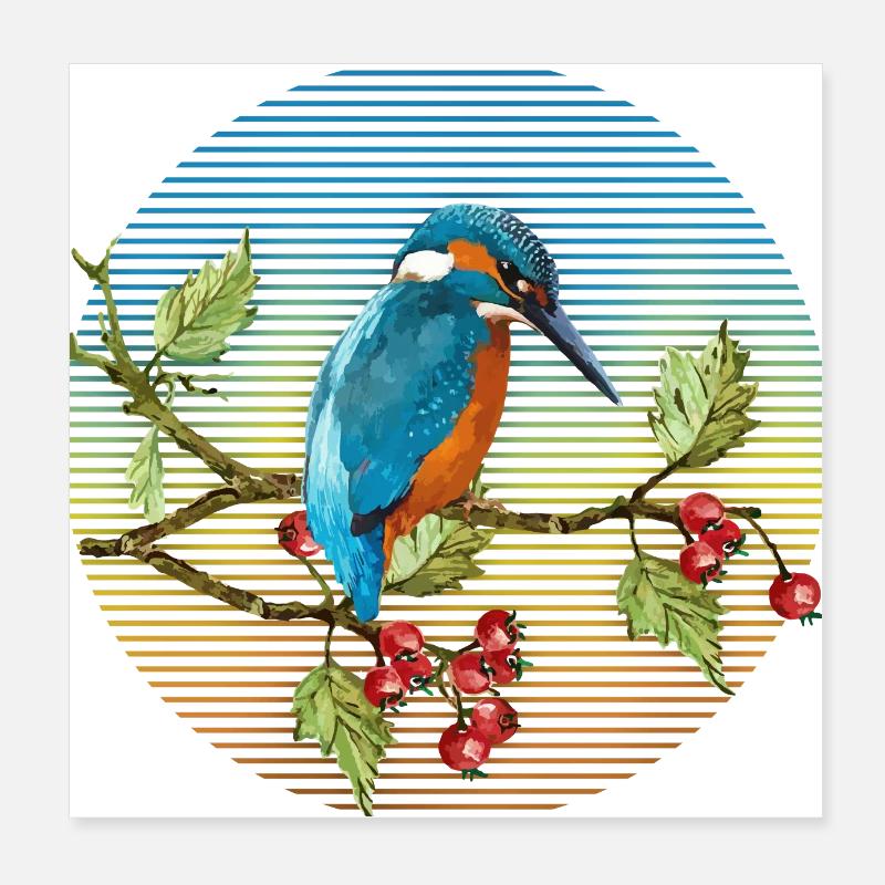 Oiseau coloré Poster 20 x 20 cm