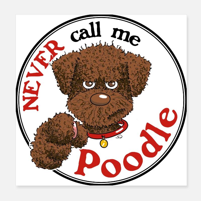 Poodle1 3 Poster 8" x 8" (20x20 cm)