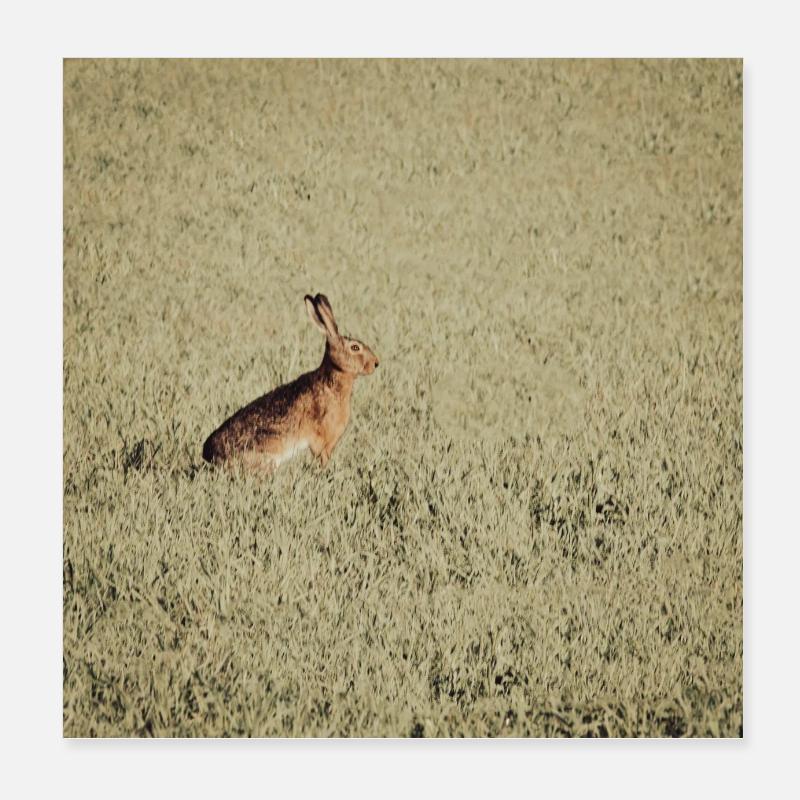 Les lapins sautent... Poster 20 x 20 cm