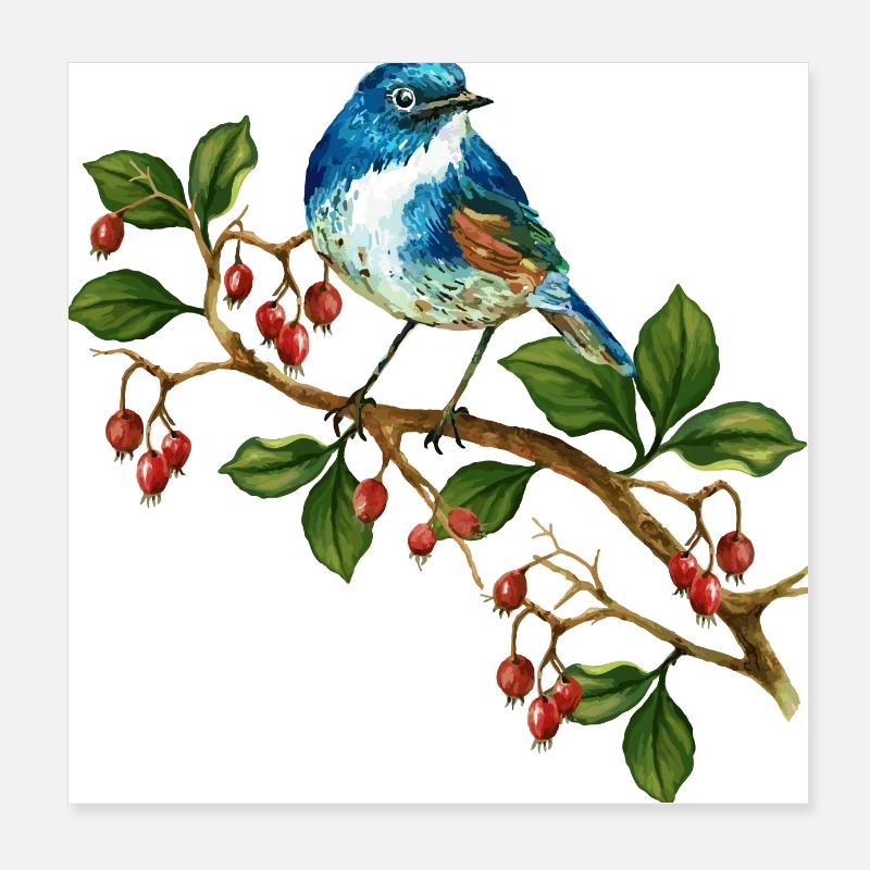 Colorful bird Poster 8" x 8" (20x20 cm)