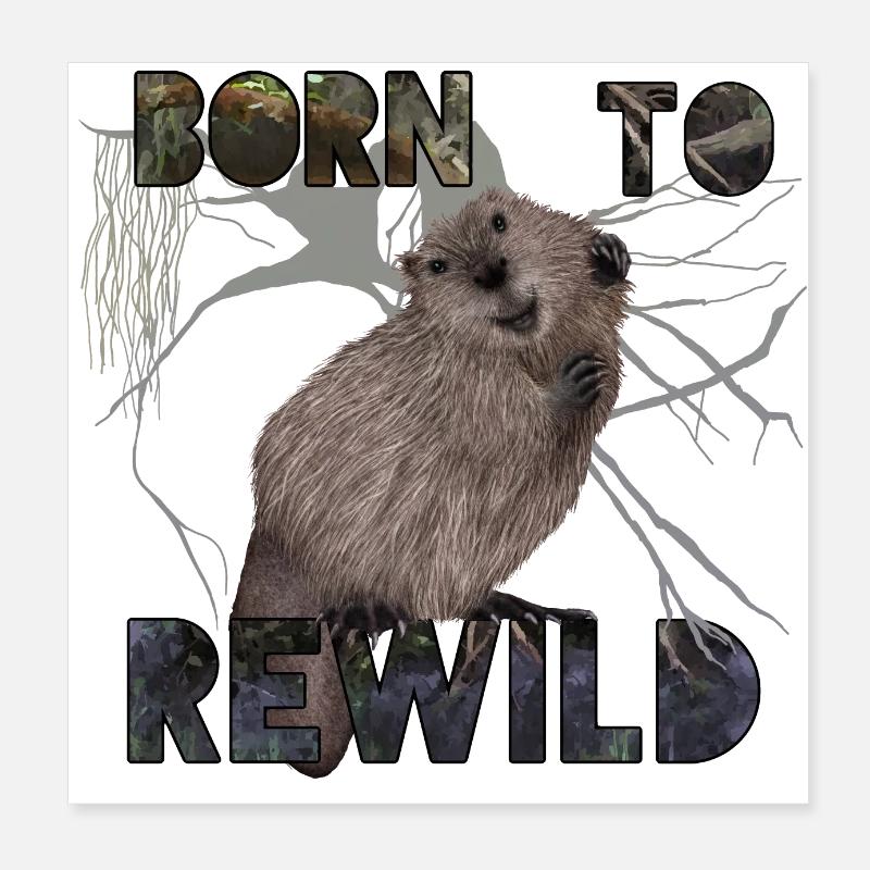 Né du castor ReWild Poster 20 x 20 cm