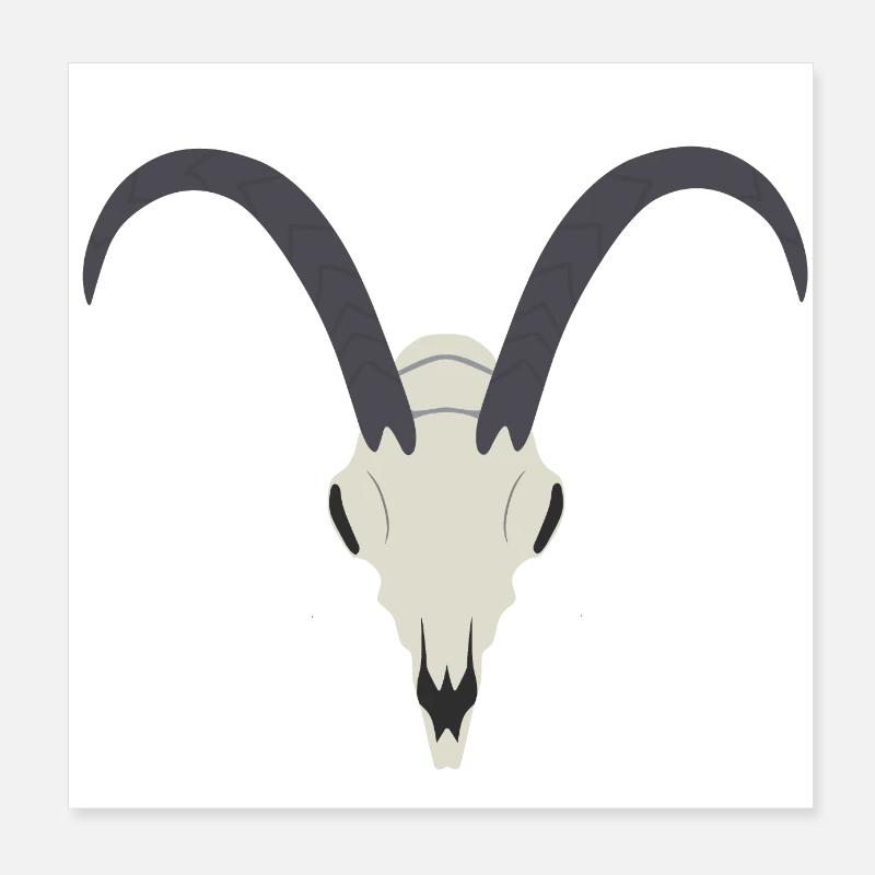Corsican goat skull Poster 8" x 8" (20x20 cm)