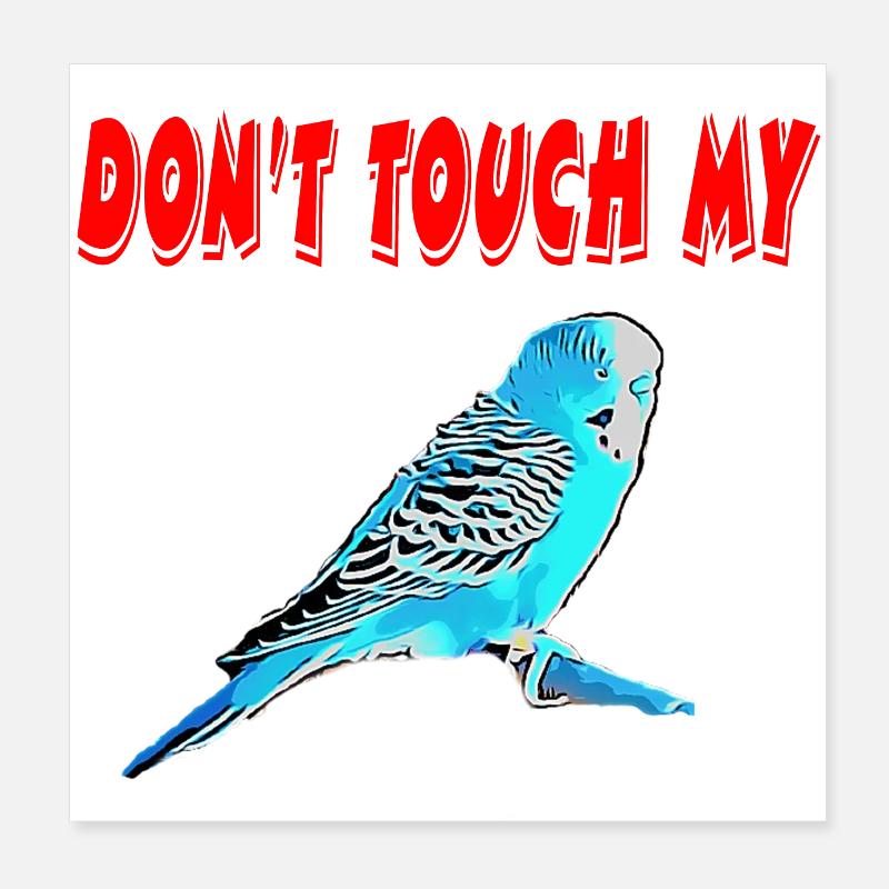Budgerigar Poster 8" x 8" (20x20 cm)