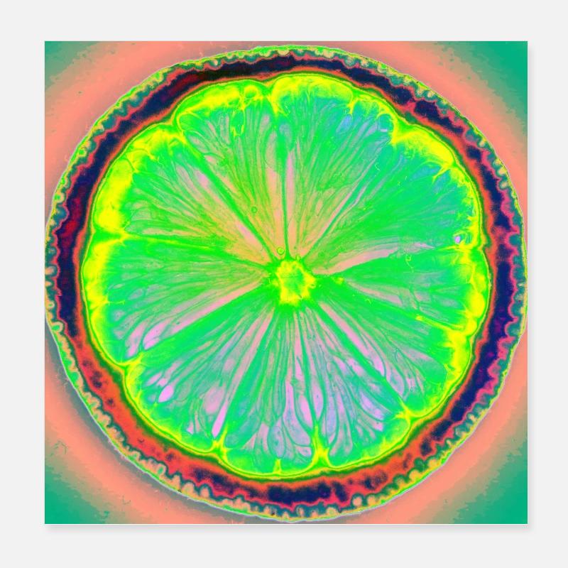 Affiche - Citron - Poster 20 x 20 cm - blanc