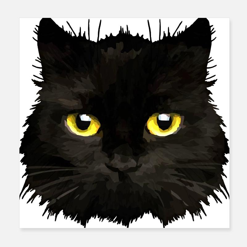 Katze Poster 20x20 cm