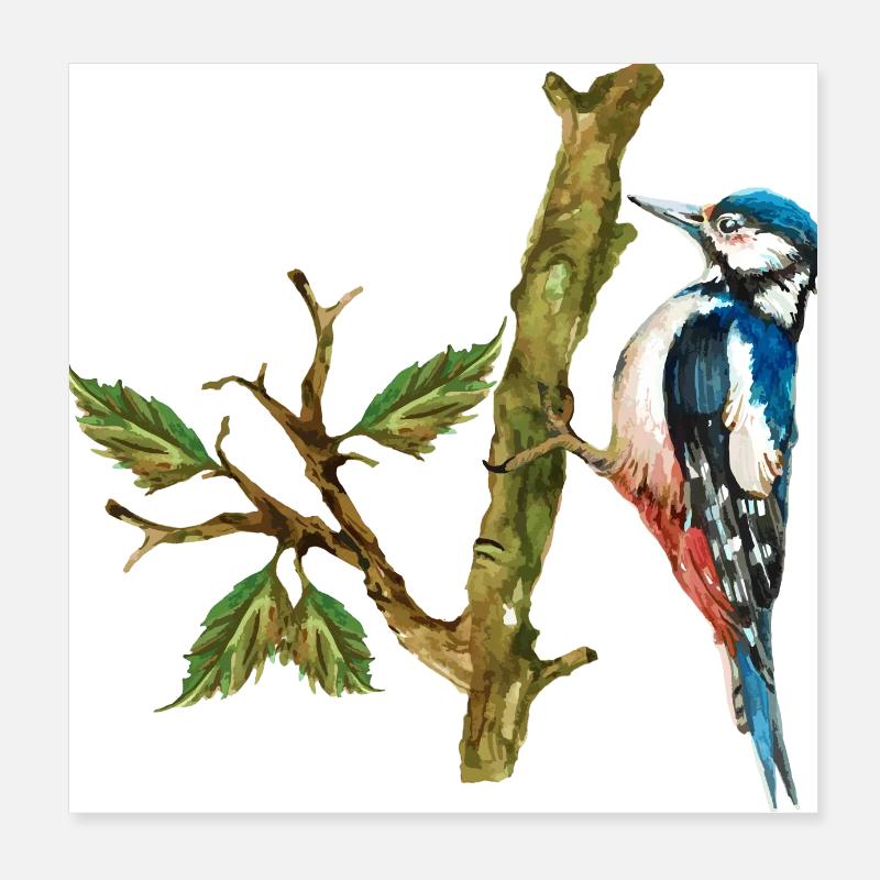 Oiseau coloré Poster 20 x 20 cm