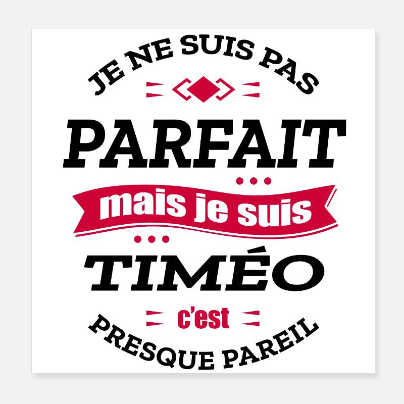 TIMÉO PARFAIT - PRENOM TIMÉO Poster 20 x 20 cm